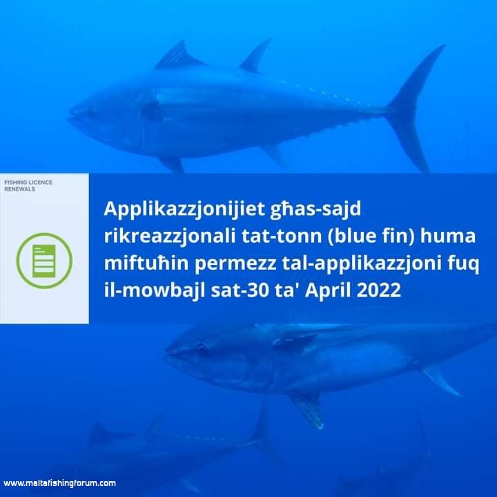 2022 Applications for Bluefin Tuna Permit