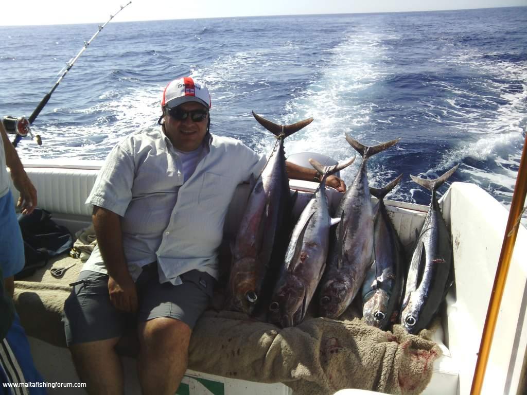 albacore catch 22/06/2013