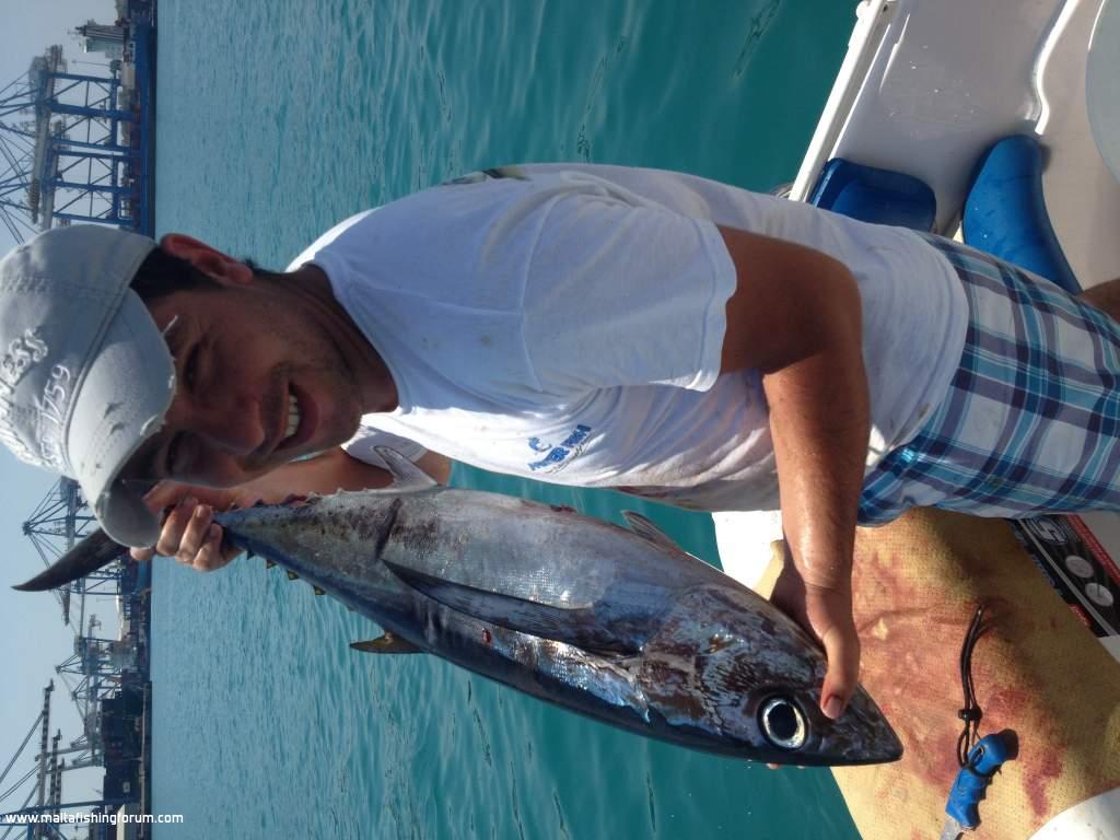 Under Water Albacore Fishing Video, link below