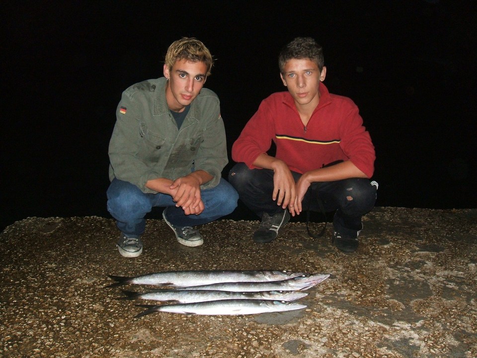 Barracudas