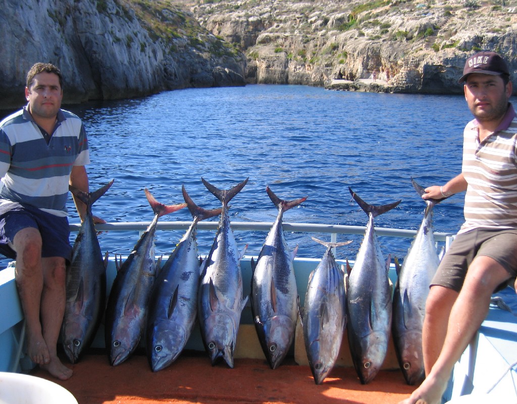 Tuna fishing 2004