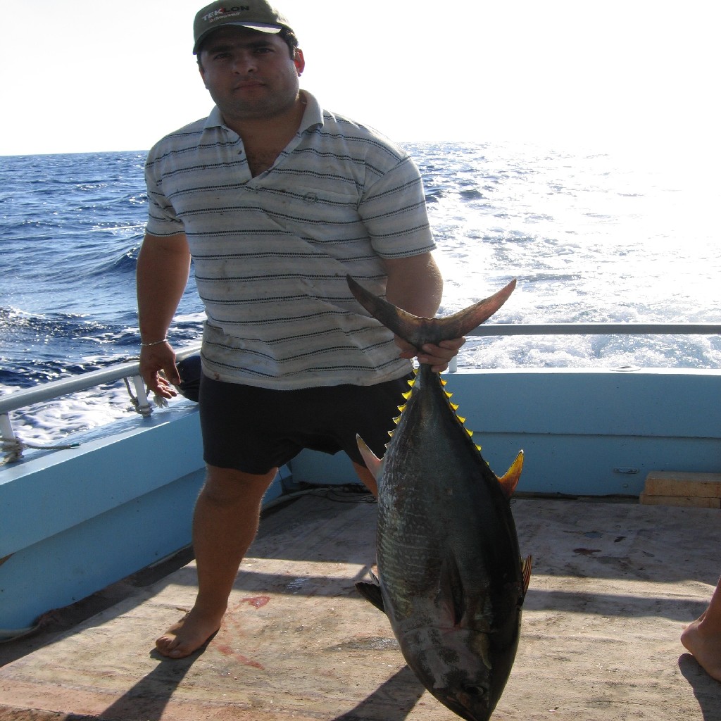 tuna 18 kgs