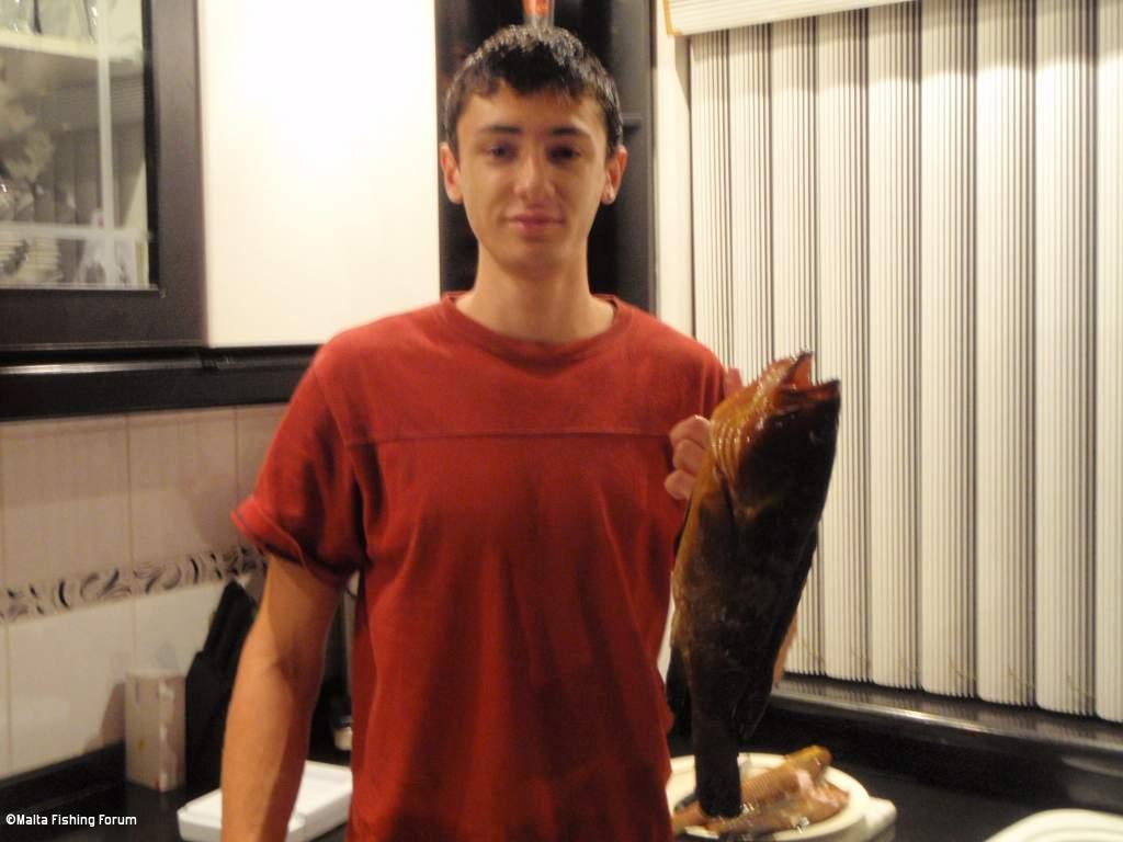 1,5kg grouper
