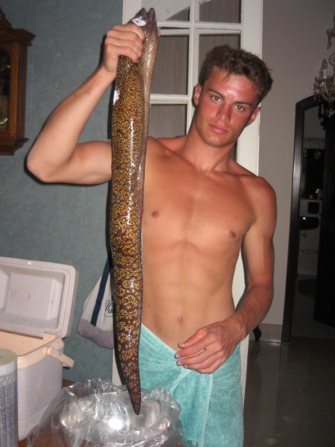 giant eel