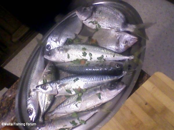Some kavalli and xirghien ready to be cooked