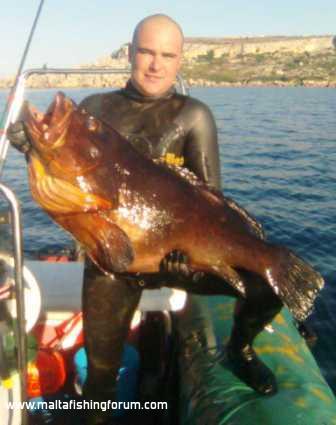 Skizz 19.5kg Grouper