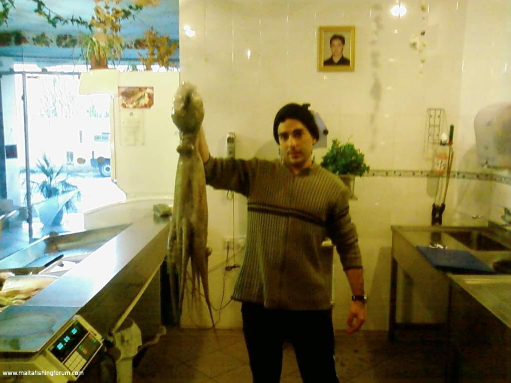 Today a 6kg octopus