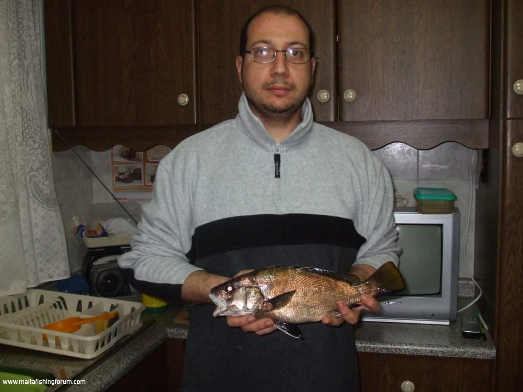 gurbell 600g