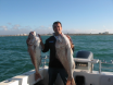 Whyalla snapper