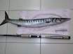 2.5kg lizz caught spinning