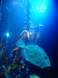 London Aquarium