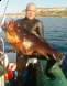 Skizz 19.5kg Grouper